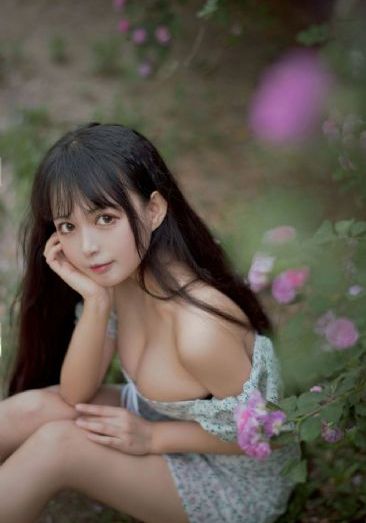 假如历史是一群喵全集