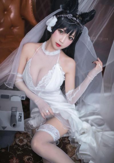 完美世界动画