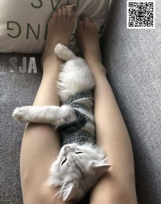 盗墓笔记2 电影