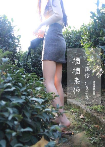 航班蛇患