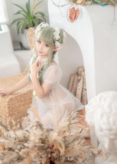 神奇公司在哪里