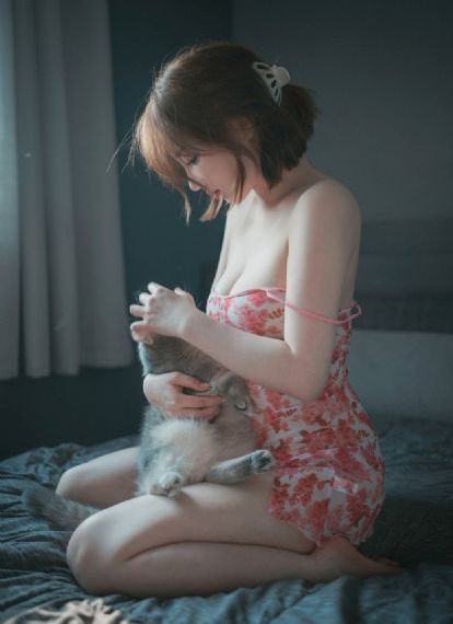 刺客伍六七第五季