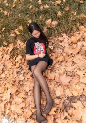 楼莲花电视剧免费