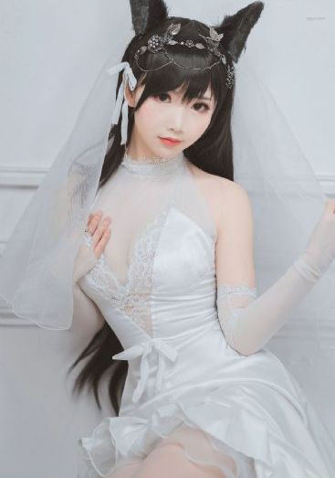 沙海电视剧全集免费完整版