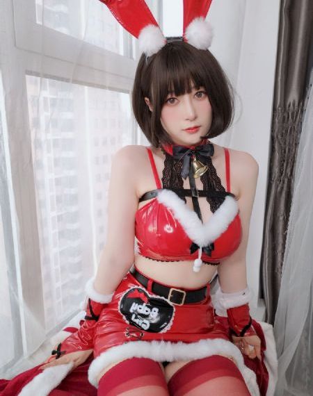 拉布拉多警长146集
