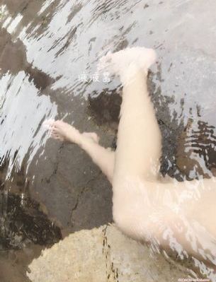 铁齿铜牙纪晓岚第二部