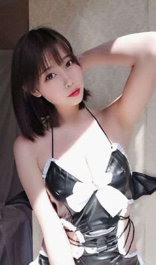 汪汪队立大功九季
