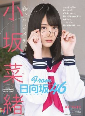 扫黑绝不放弃在线观看
