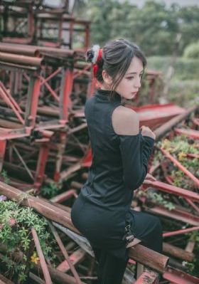 大陆理论片